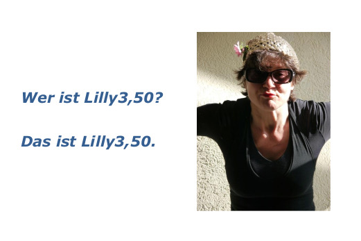 Lilly3-50 in der Gegensprechanlage